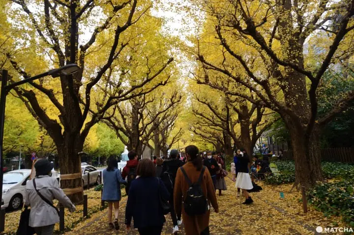 Wisata Ala Backpacker 7 Hari di Area Tokyo