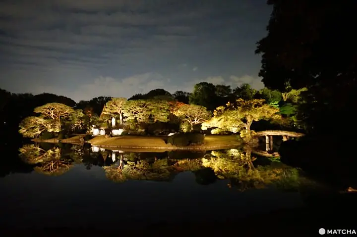 Wisata Ala Backpacker 7 Hari di Area Tokyo