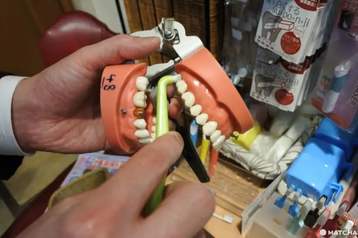 牙間刷　日本牙刷