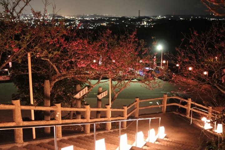 やえせ桜まつり
