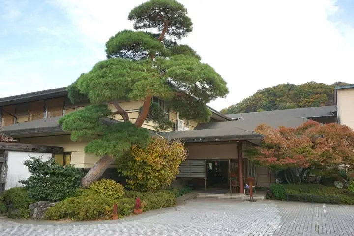 Seibu 1-Day Pass Nagatoro