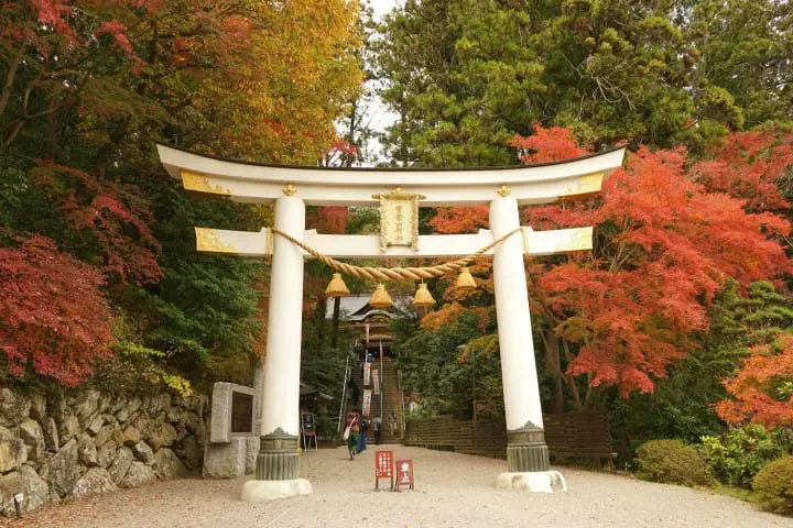 Seibu 1-Day Pass Nagatoro