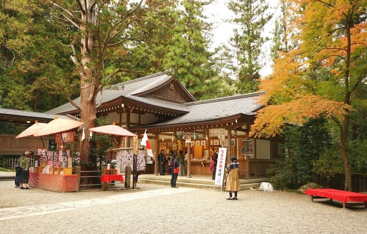 Seibu 1-Day Pass Nagatoro
