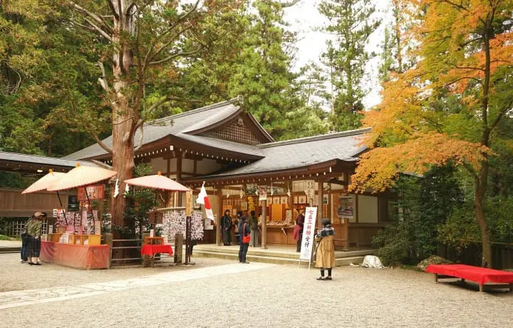 Seibu 1-Day Pass Nagatoro