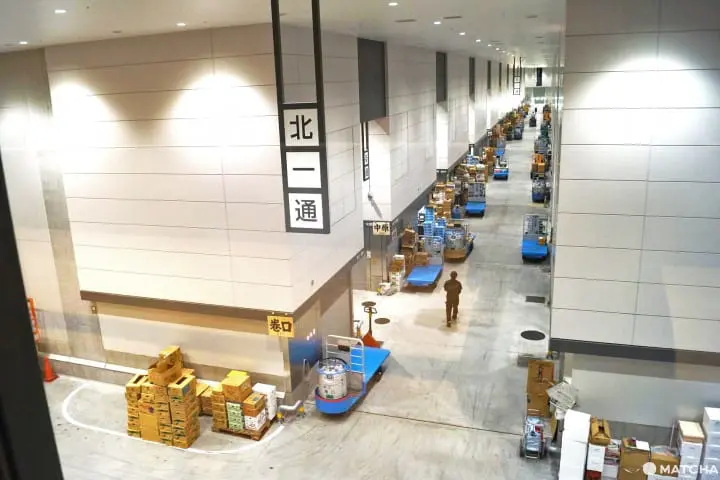 豊洲市場の楽しみ方ガイド～移転後の人気店の様子をチェック！～