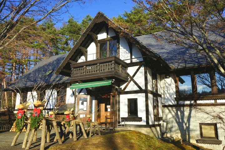 JR TOKYO Wide Pass - A Day Trip To The Splendid Yatsugatake Mountains
