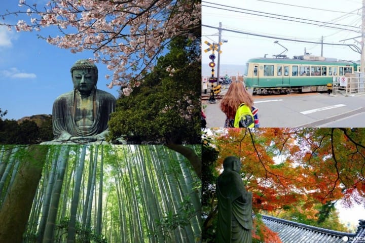 แผนเที่ยวคามาคุระ (Kamakura) แบบไปเช้า-เย็นกลับจากโตเกียว