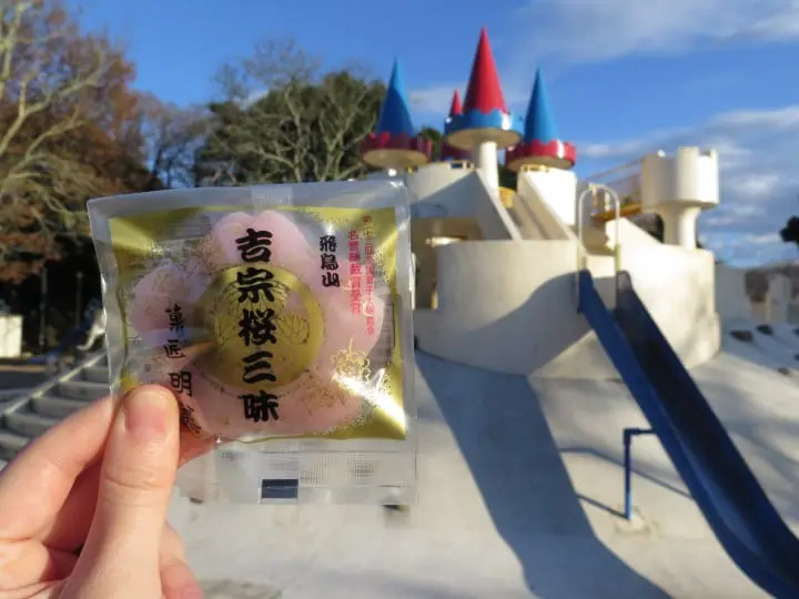 【東京】搭都電遊下町，一日賞櫻推薦行程