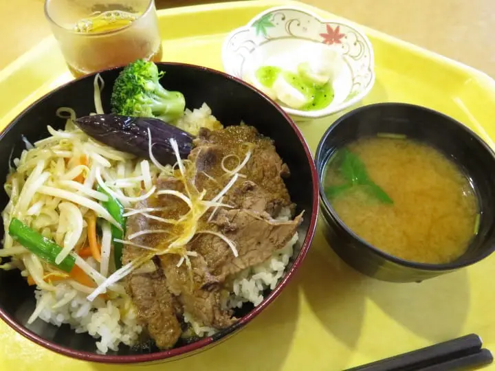 【東京】搭都電遊下町，一日賞櫻推薦行程