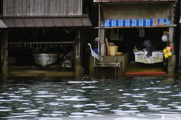 跟著抹茶到海的京都「伊根町」舟屋民宿住一晚