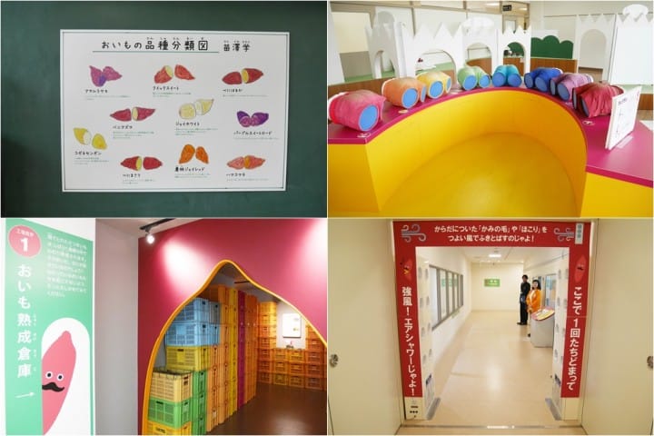 Namagata Village 番薯