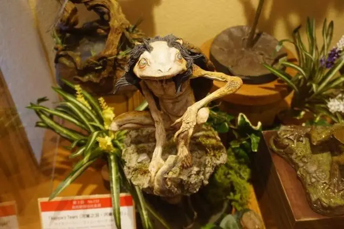 進擊的漫畫人！鳥取高知朝聖之旅 (三)