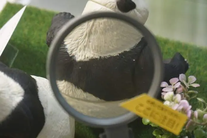 進擊的漫畫人！鳥取高知朝聖之旅 (三)