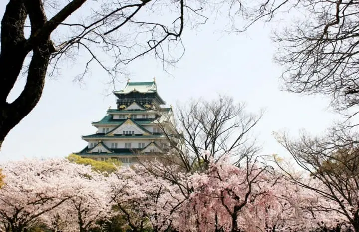 10 Great Cherry Blossom Viewing Spots in Kansai: Kyoto, Osaka, Nara, Hiroshima