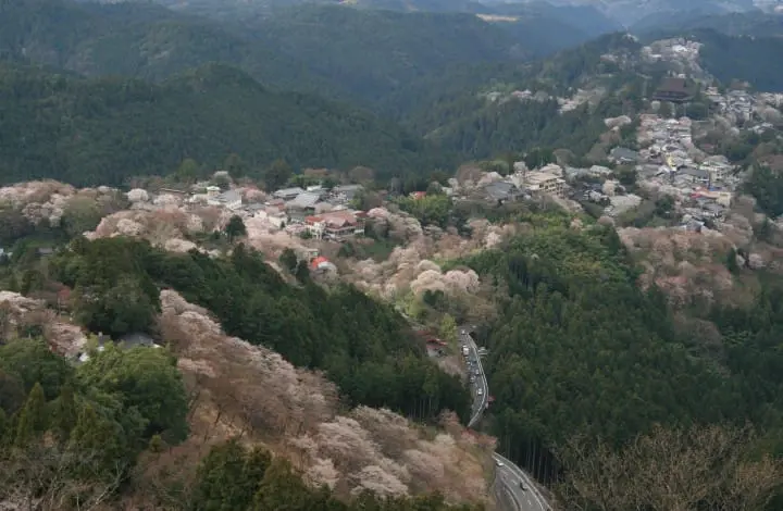 10 Great Cherry Blossom Viewing Spots in Kansai: Kyoto, Osaka, Nara, Hiroshima