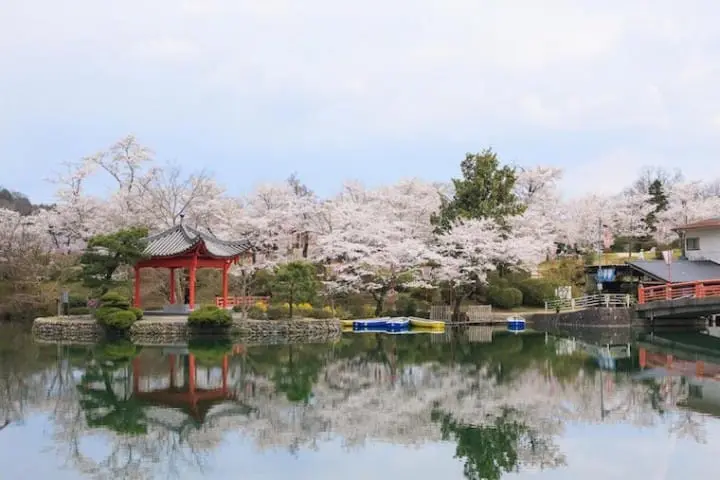 10 Great Cherry Blossom Viewing Spots in Kansai: Kyoto, Osaka, Nara, Hiroshima