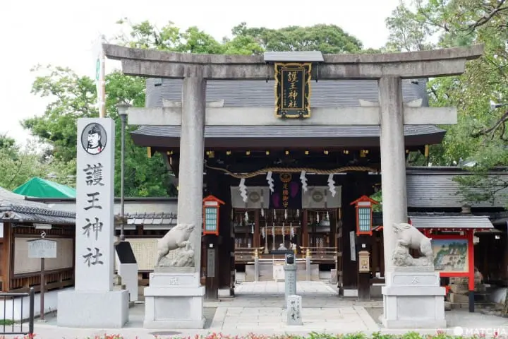 好運要求神　2019新年新御守特輯