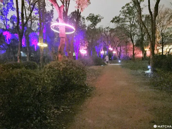SAKUYA LUMINA夜遊大阪城公園 探索奇幻國度