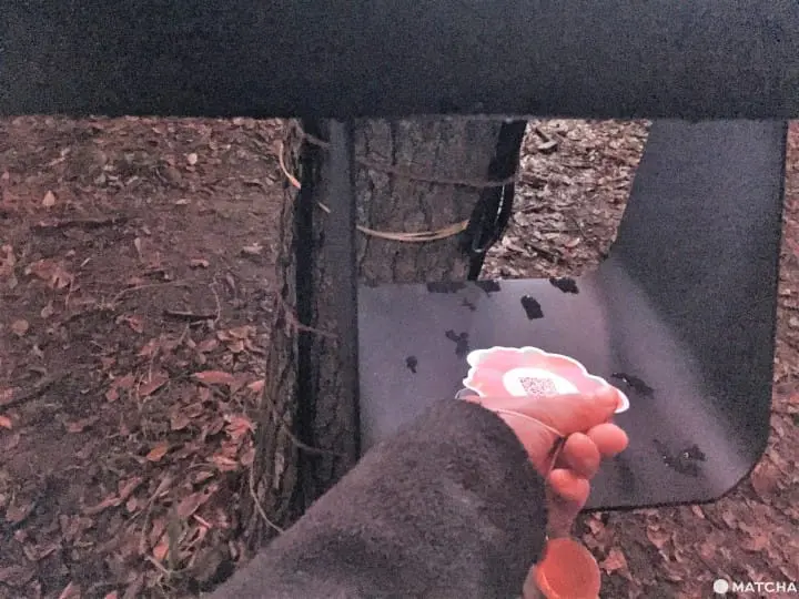 SAKUYA LUMINA夜遊大阪城公園 探索奇幻國度