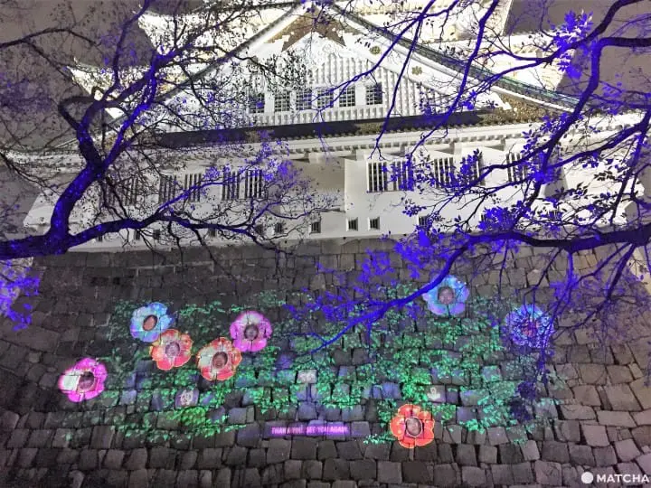 SAKUYA LUMINA夜遊大阪城公園 探索奇幻國度