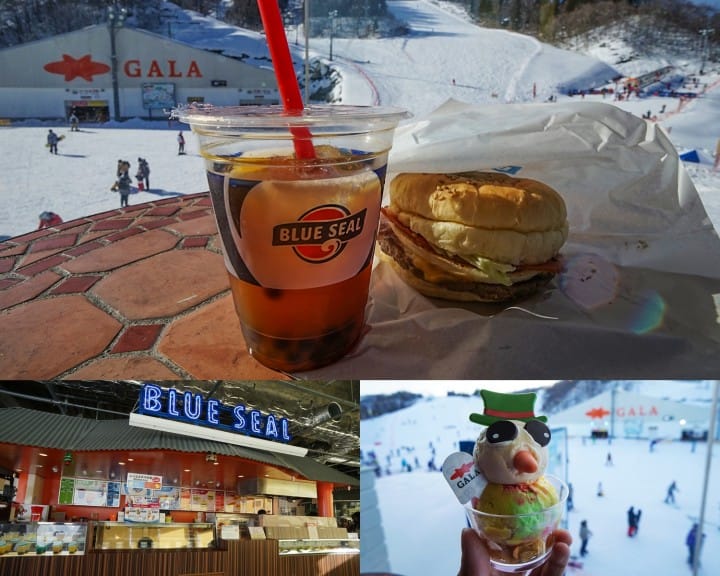เรียนสกี เล่นหิมะแบบไปเช้าเย็นกลับจากโตเกียวที่กาล่า ยูซาวะ (GALA Yuzawa)