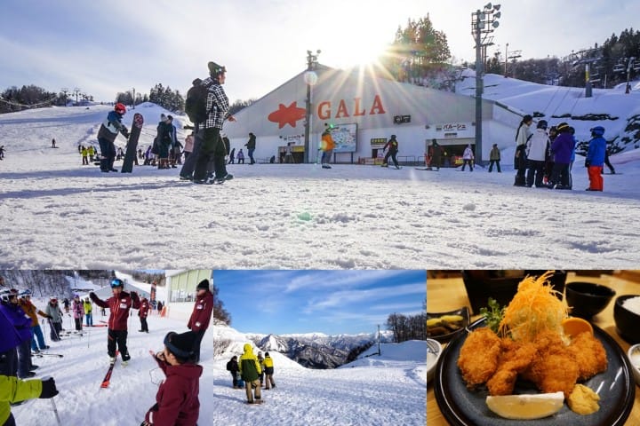 เรียนสกี เล่นหิมะแบบไปเช้าเย็นกลับจากโตเกียวที่กาล่า ยูซาว่า (GALA Yuzawa)