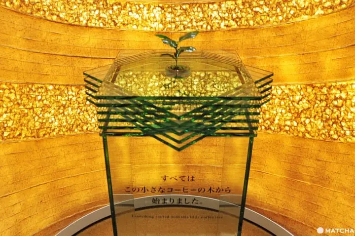 一起变身咖啡达人―UCC咖啡博物馆