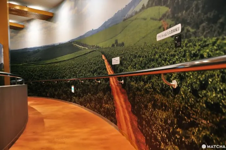 一起变身咖啡达人―UCC咖啡博物馆