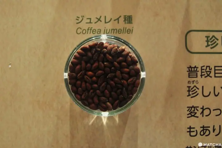 一起变身咖啡达人―UCC咖啡博物馆