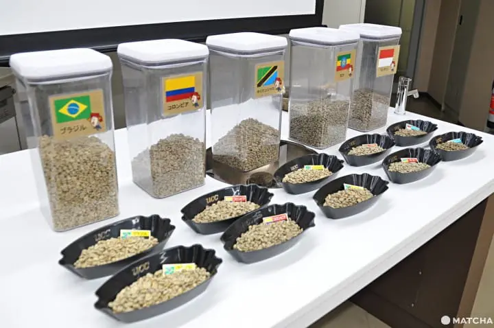 一起变身咖啡达人―UCC咖啡博物馆