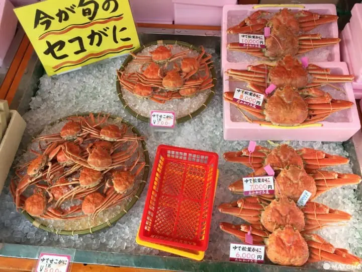 城崎溫泉「蟹」逅但馬牛 兩大必吃美食