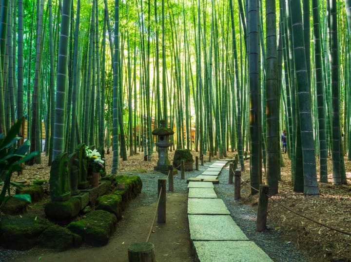 報國寺