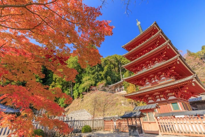 長谷寺