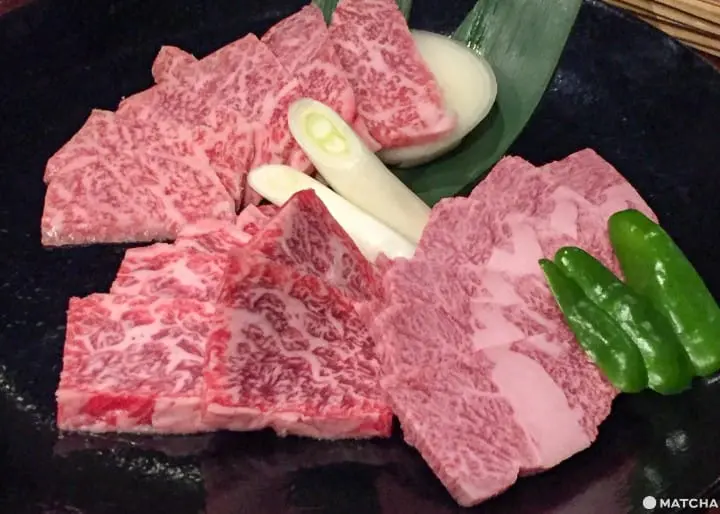 【鹿兒島】下飛機就可以馬上玩5個景點