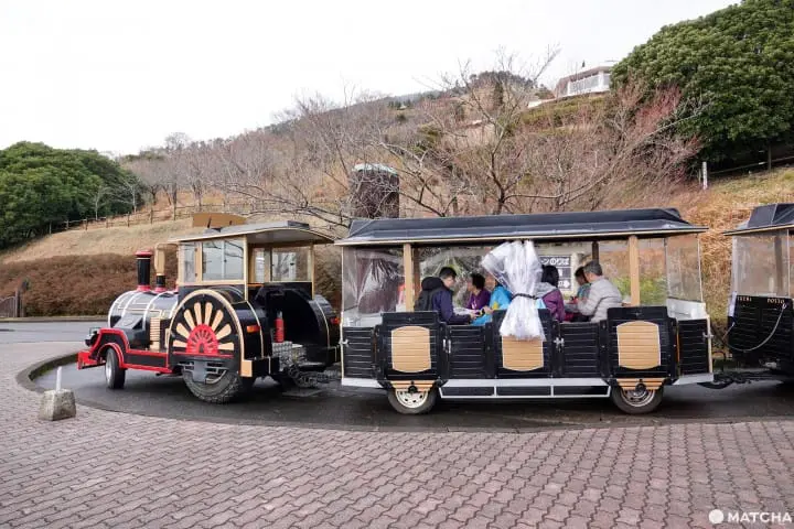 【鹿兒島】下飛機就可以馬上玩5個景點