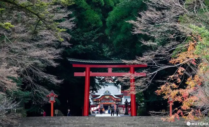 【鹿兒島】下飛機就可以馬上玩5個景點