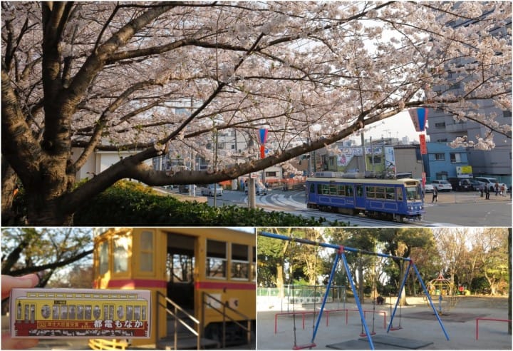 【東京】搭都電遊下町,一日賞櫻推薦行程