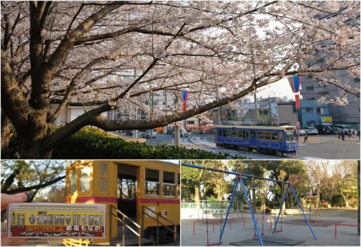 【東京】搭都電遊下町，一日賞櫻推薦行程