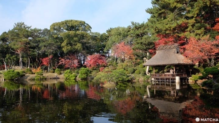 【广岛县】缩景园〜介绍・交通方式・周边观光景点〜