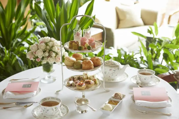 Cherry Blossoms And Sweets! Hop On The TOKYO SAKURA TRAM In Spring