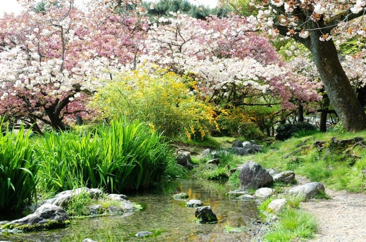 京都御苑