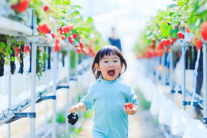 むさし之村