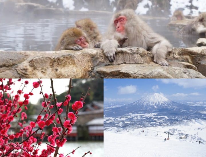 10 Winter Things To Do In Japan - Hot Springs, Festivals, And Glistening Snow!