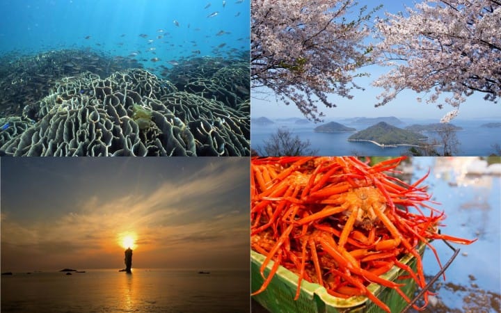 在尋覓日本島國的自然美景嗎?,造訪遼闊海景的「國立公園」準沒錯!