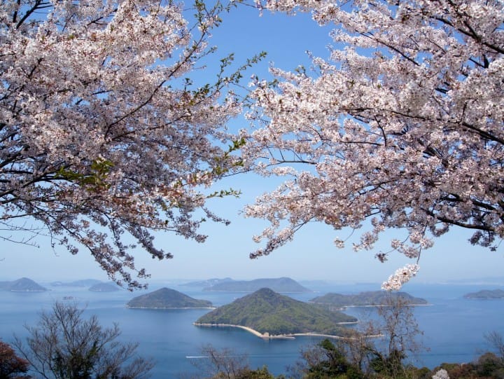 島国日本の自然を堪能するなら、海を望める「国立公園」へ