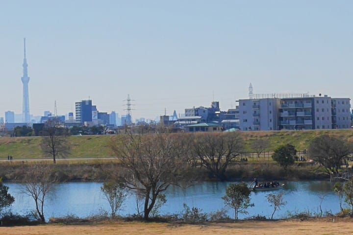 柴又傳統渡船