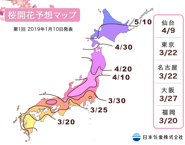 日本2019櫻花花況最前線