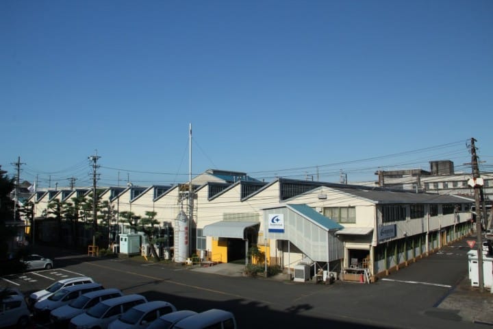 ムーンスター