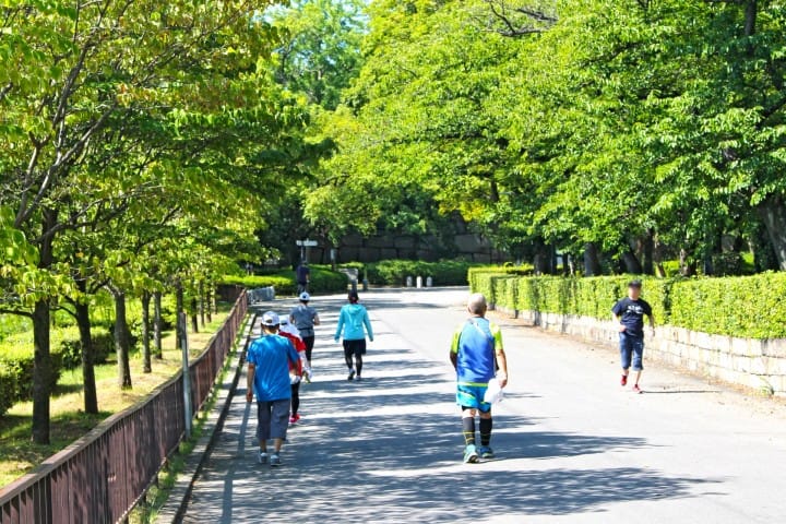 Japan Travel Tips - 15 Things To Know Before You Come