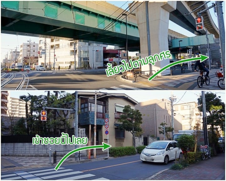 ชมซากุระโตเกียวเต็มที่ในหนึ่งวันด้วย